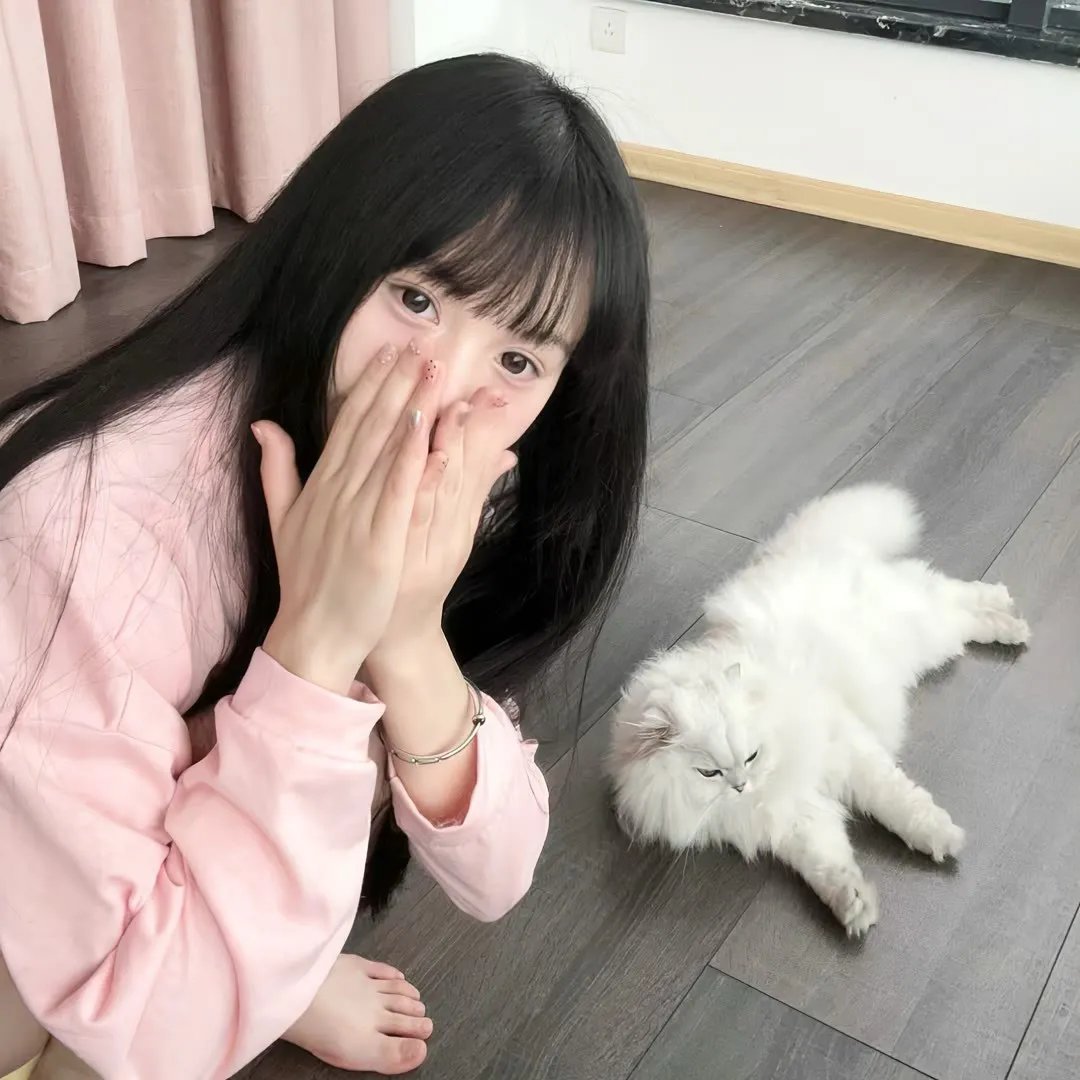 福斯特医生第一季
